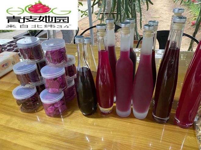 王艷:大膽開拓 創新火龍果&ldquo;南果北種&rdquo;產業鏈新模式