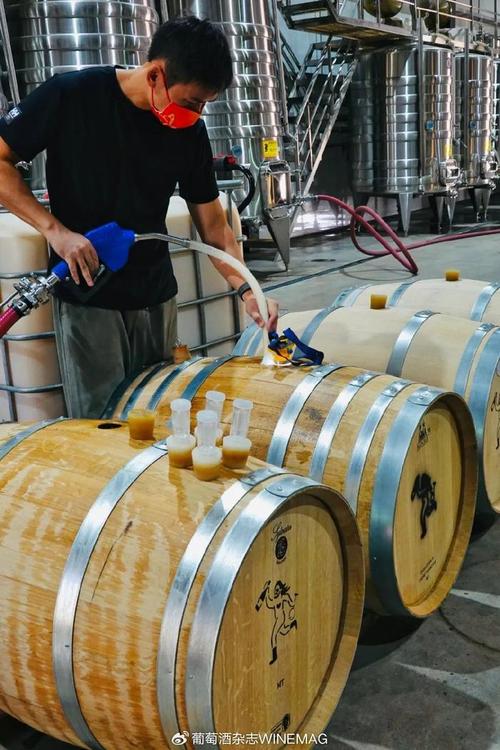 中國(guó)葡萄酒新勢(shì)力 釀松弛的酒，做最“野”的標(biāo)